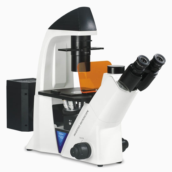 BDS400 倒置荧光显微镜